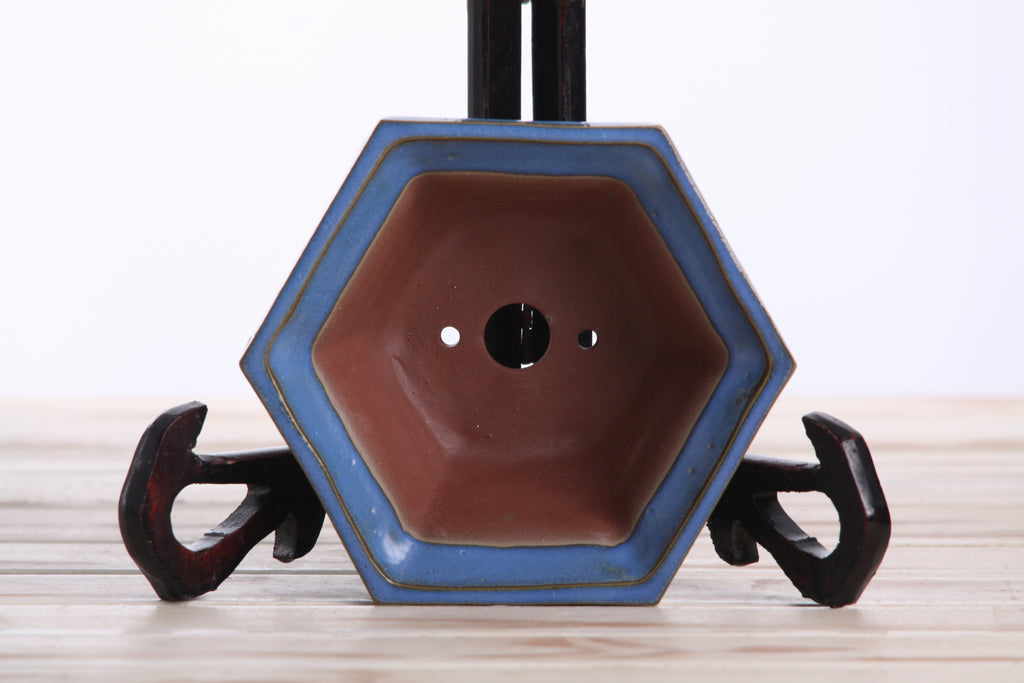 Willow Bonsai Ceramics Hexagonal Windowed Bonsai Pot 5 Inch – Semi‑Cascade Planter, High‑Fired Frost‑Proof Stoneware with Drainage & Wiring Holes, Handmade in USA (Peacock 2023)