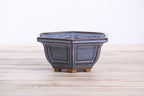 Willow Bonsai Ceramics Hexagonal Windowed Bonsai Pot 5 Inch – Semi‑Cascade Planter, High‑Fired Frost‑Proof Stoneware with Drainage & Wiring Holes, Handmade in USA (Denim)