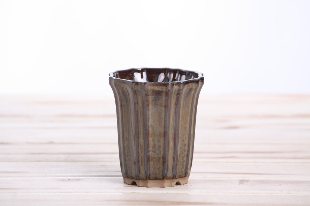 Willow Bonsai Ceramics Flower Design Cascade Bonsai Pot 3 Inch – Elegant Tall Ceramic Bonsai & Succulent Planter, High‑Fired Frost‑Proof Stoneware with Drainage & Wiring Holes, Handmade in USA (Dark Honey)