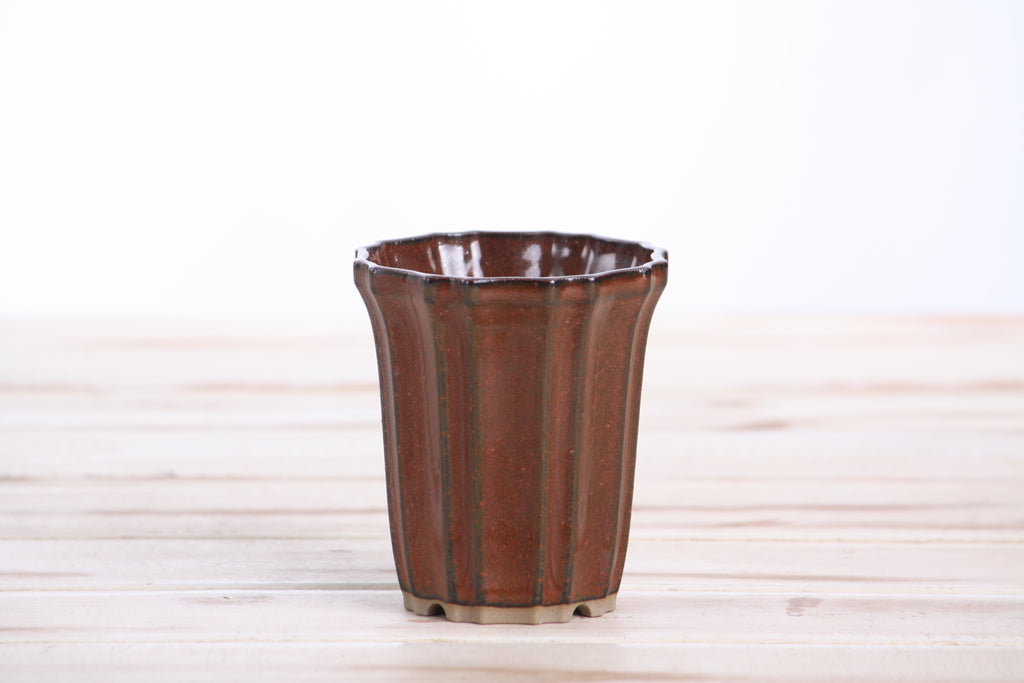 Willow Bonsai Ceramics Flower Design Cascade Bonsai Pot 3 Inch – Elegant Tall Ceramic Bonsai & Succulent Planter, High‑Fired Frost‑Proof Stoneware with Drainage & Wiring Holes, Handmade in USA (Sunset)