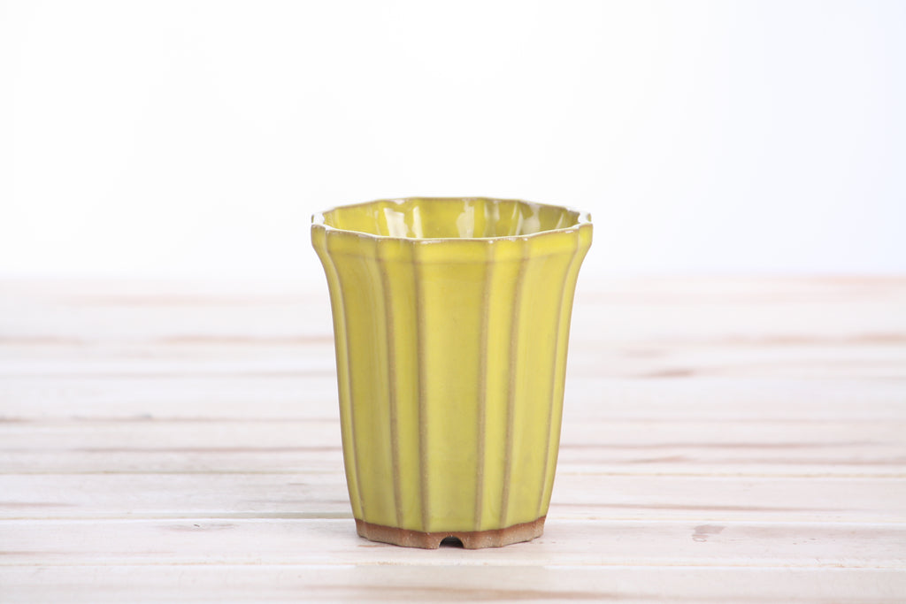 Willow Bonsai Ceramics Flower Design Cascade Bonsai Pot 3 Inch – Elegant Tall Ceramic Bonsai & Succulent Planter, High‑Fired Frost‑Proof Stoneware with Drainage & Wiring Holes, Handmade in USA (Yellow)