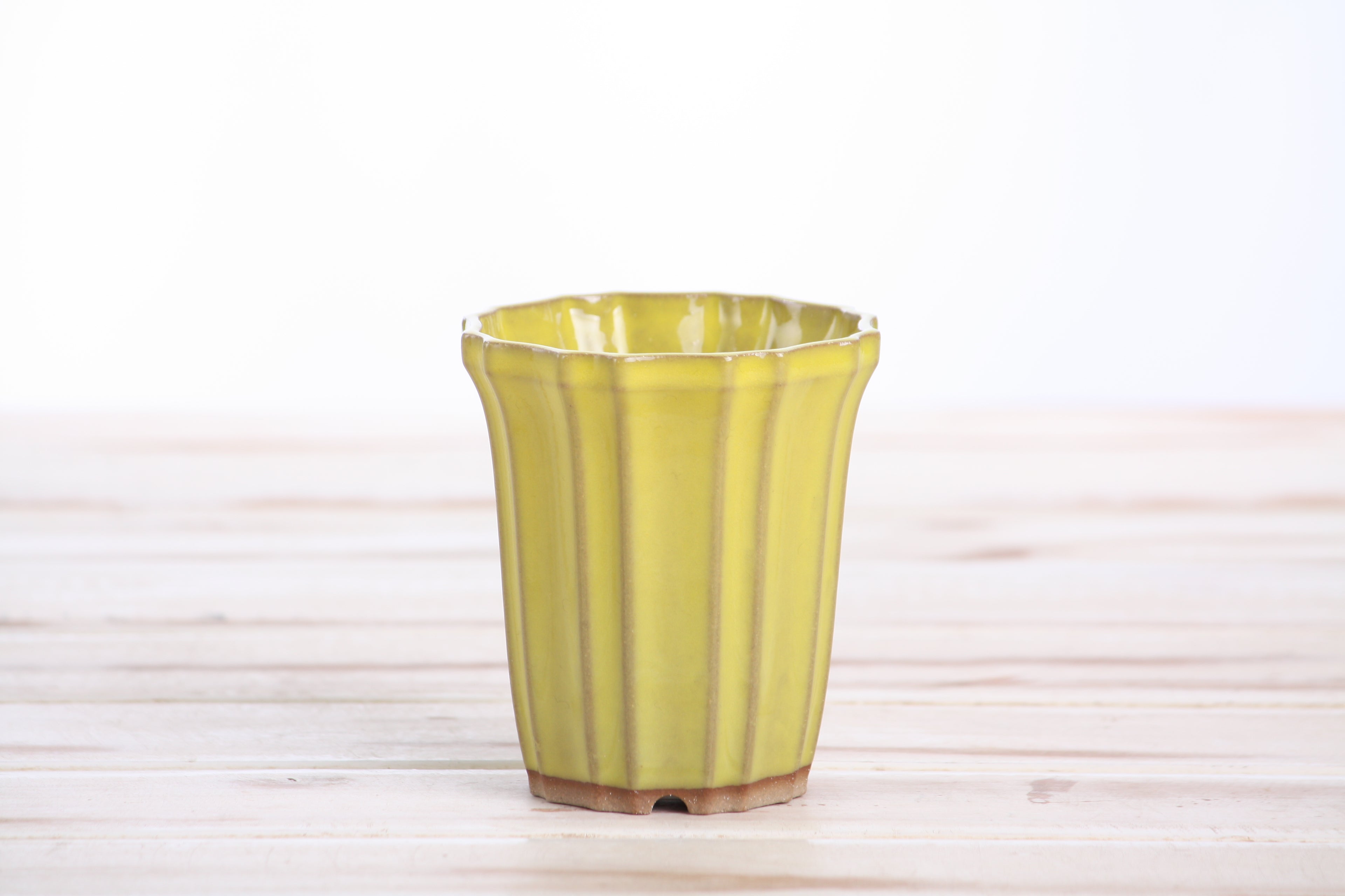 Willow Bonsai Ceramics Flower Design Cascade Bonsai Pot 3 Inch – Elegant Tall Ceramic Bonsai & Succulent Planter, High‑Fired Frost‑Proof Stoneware with Drainage & Wiring Holes, Handmade in USA (Yellow)