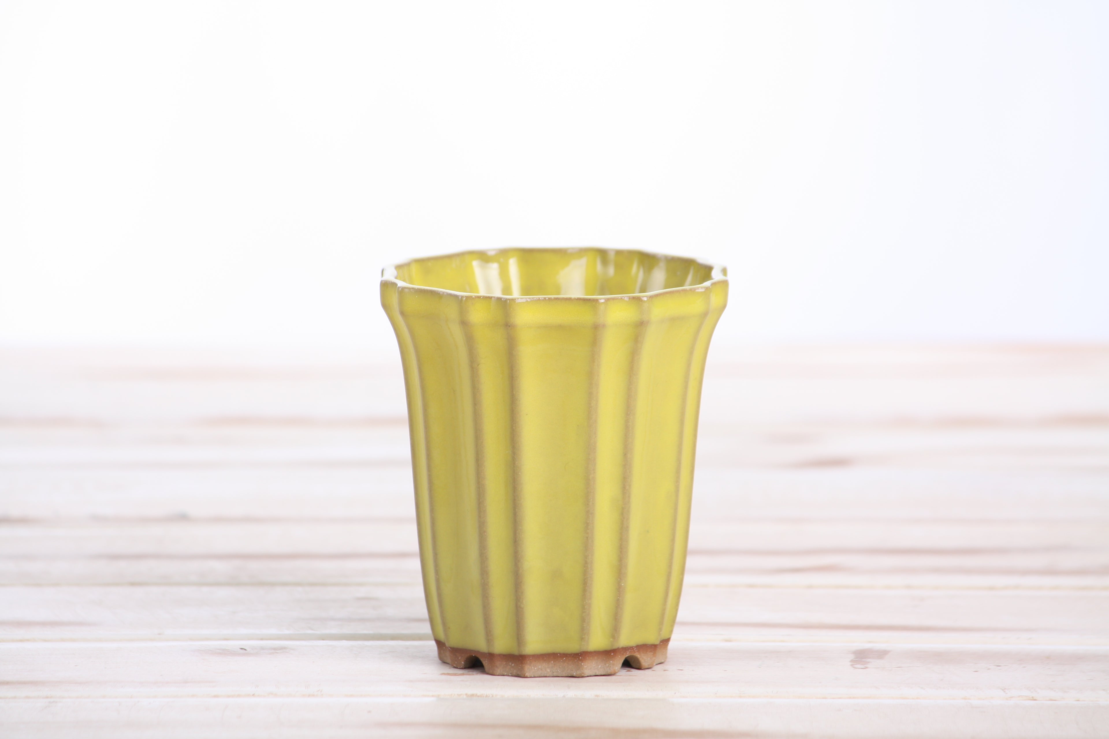 Willow Bonsai Ceramics Flower Design Cascade Bonsai Pot 3 Inch – Elegant Tall Ceramic Bonsai & Succulent Planter, High‑Fired Frost‑Proof Stoneware with Drainage & Wiring Holes, Handmade in USA (Yellow)