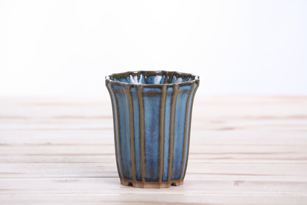 Willow Bonsai Ceramics Flower Design Cascade Bonsai Pot 3 Inch – Elegant Tall Ceramic Bonsai & Succulent Planter, High‑Fired Frost‑Proof Stoneware with Drainage & Wiring Holes, Handmade in USA (Peacock 2025)