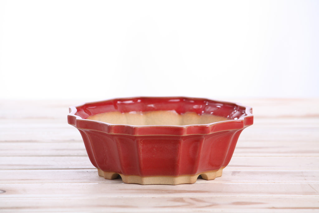 Willow Bonsai Ceramics Flower Design Bonsai Pot 6.5 Inch – Elegant Ceramic Bonsai & Succulent Planter, High‑Fired Frost‑Proof Stoneware with Drainage & Wiring Holes, Handmade in USA (Red)
