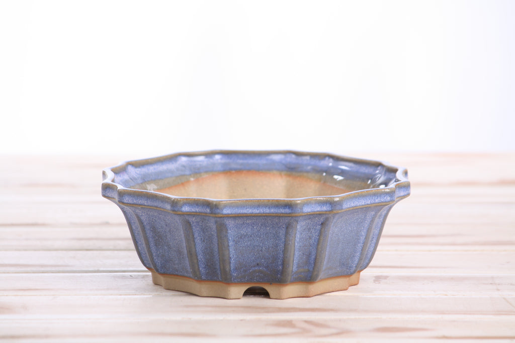 Willow Bonsai Ceramics Flower Design Bonsai Pot 6.5 Inch – Elegant Ceramic Bonsai & Succulent Planter, High‑Fired Frost‑Proof Stoneware with Drainage & Wiring Holes, Handmade in USA (Denim)