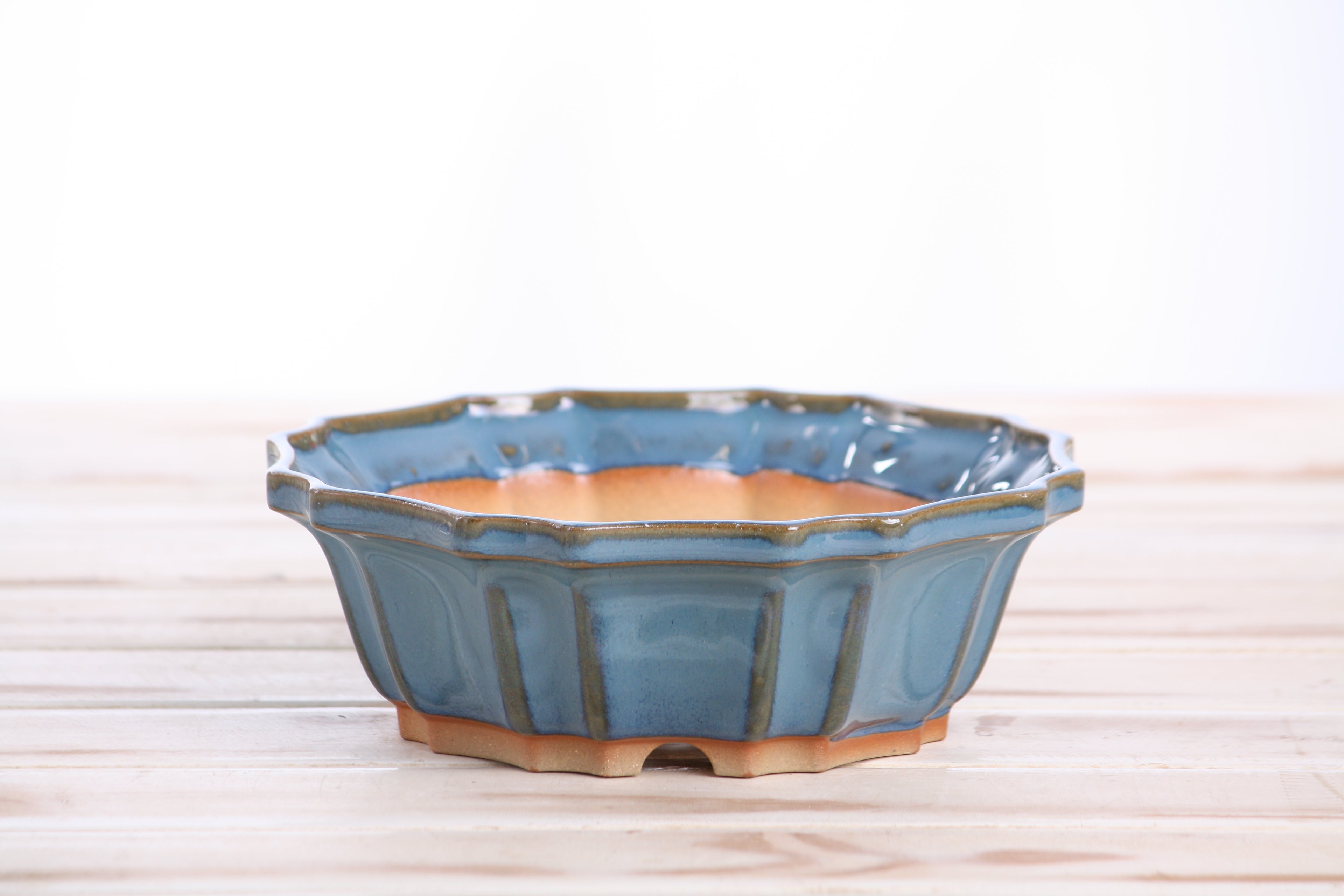 Willow Bonsai Ceramics Flower Design Bonsai Pot 6.5 Inch – Elegant Ceramic Bonsai & Succulent Planter, High‑Fired Frost‑Proof Stoneware with Drainage & Wiring Holes, Handmade in USA (Peacock 2025)