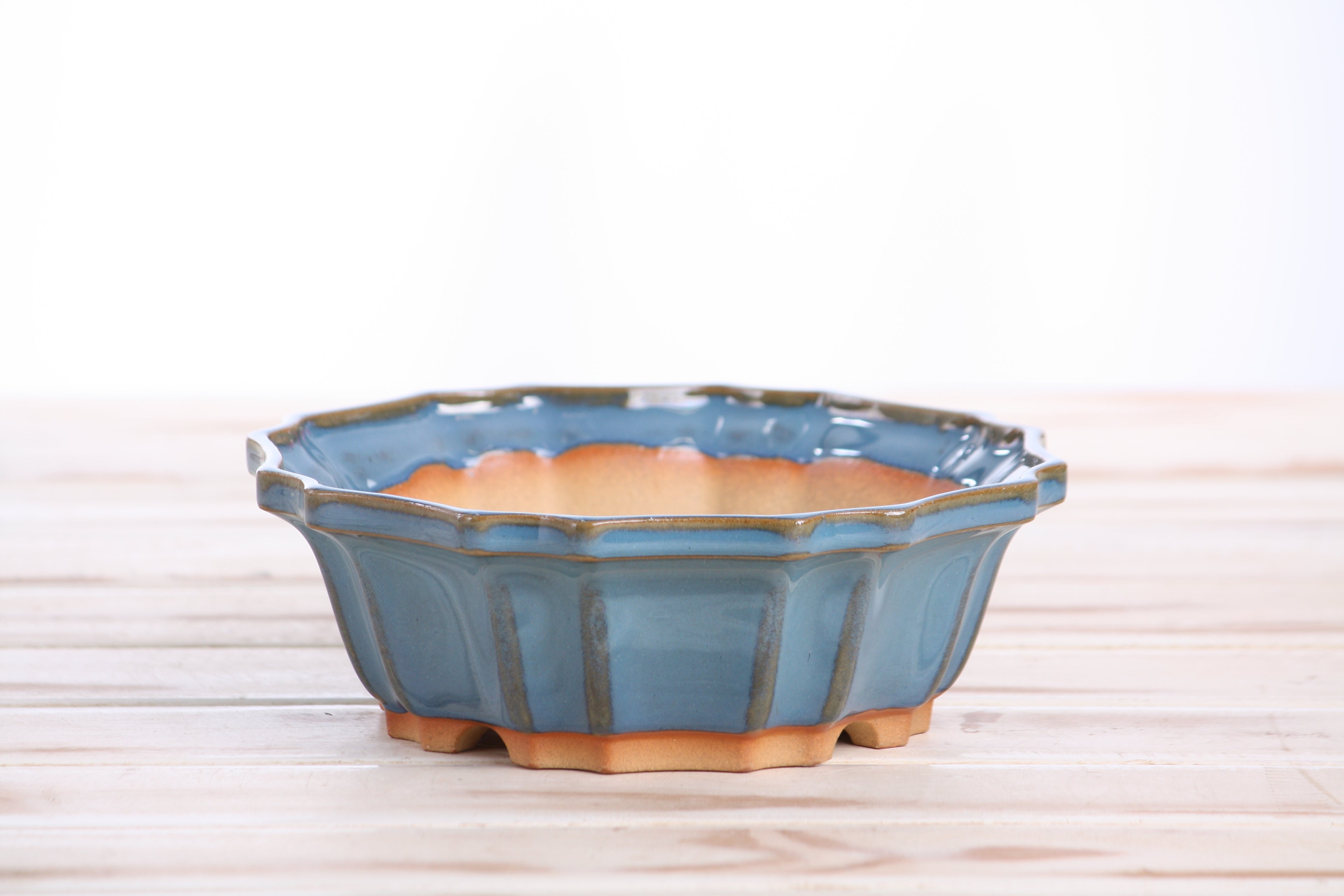Willow Bonsai Ceramics Flower Design Bonsai Pot 6.5 Inch – Elegant Ceramic Bonsai & Succulent Planter, High‑Fired Frost‑Proof Stoneware with Drainage & Wiring Holes, Handmade in USA (Peacock 2025)