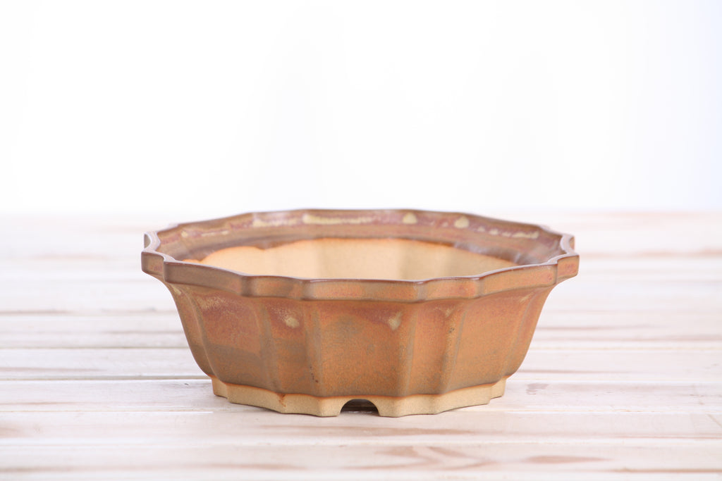 Willow Bonsai Ceramics Flower Design Bonsai Pot 6.5 Inch – Elegant Ceramic Bonsai & Succulent Planter, High‑Fired Frost‑Proof Stoneware with Drainage & Wiring Holes, Handmade in USA (Deep Stone)