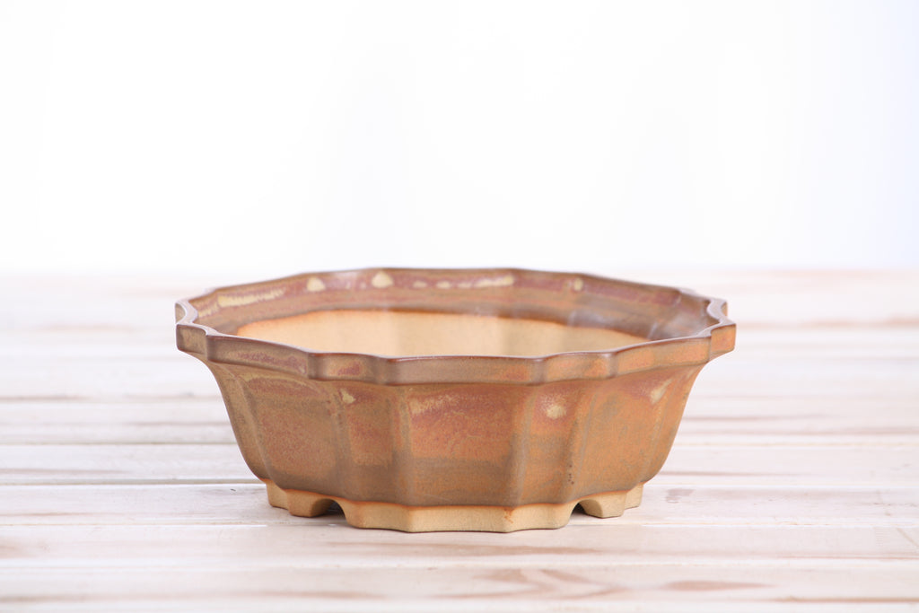 Willow Bonsai Ceramics Flower Design Bonsai Pot 6.5 Inch – Elegant Ceramic Bonsai & Succulent Planter, High‑Fired Frost‑Proof Stoneware with Drainage & Wiring Holes, Handmade in USA (Deep Stone)