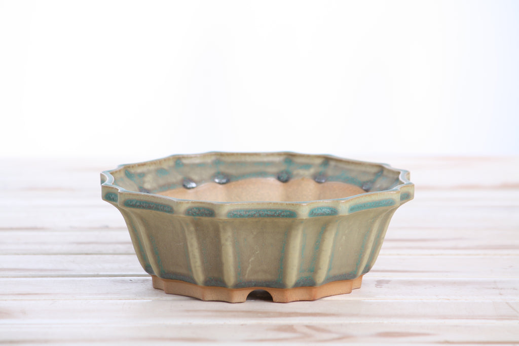 Willow Bonsai Ceramics Flower Design Bonsai Pot 6.5 Inch – Elegant Ceramic Bonsai & Succulent Planter, High‑Fired Frost‑Proof Stoneware with Drainage & Wiring Holes, Handmade in USA (Speckled Moss)