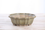 Willow Bonsai Ceramics Flower Design Bonsai Pot 6.5 Inch – Elegant Ceramic Bonsai & Succulent Planter, High‑Fired Frost‑Proof Stoneware with Drainage & Wiring Holes, Handmade in USA (Copenhagen)