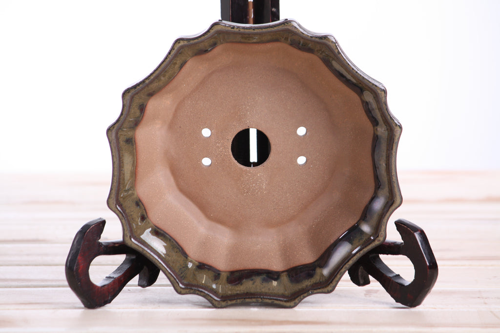 Willow Bonsai Ceramics Flower Design Bonsai Pot 6.5 Inch – Elegant Ceramic Bonsai & Succulent Planter, High‑Fired Frost‑Proof Stoneware with Drainage & Wiring Holes, Handmade in USA (Dark Honey)