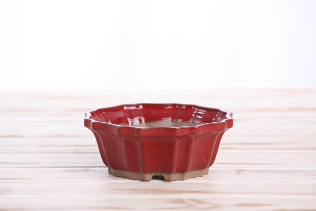 Willow Bonsai Ceramics Flower Design Bonsai Pot 5 Inch – Elegant Ceramic Bonsai & Succulent Planter, High‑Fired Frost‑Proof Stoneware with Drainage & Wiring Holes, Handmade in USA (Red)