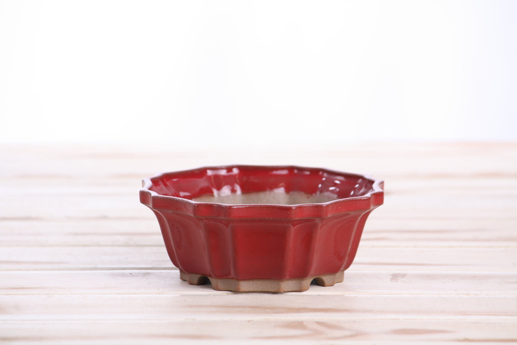 Willow Bonsai Ceramics Flower Design Bonsai Pot 5 Inch – Elegant Ceramic Bonsai & Succulent Planter, High‑Fired Frost‑Proof Stoneware with Drainage & Wiring Holes, Handmade in USA (Red)