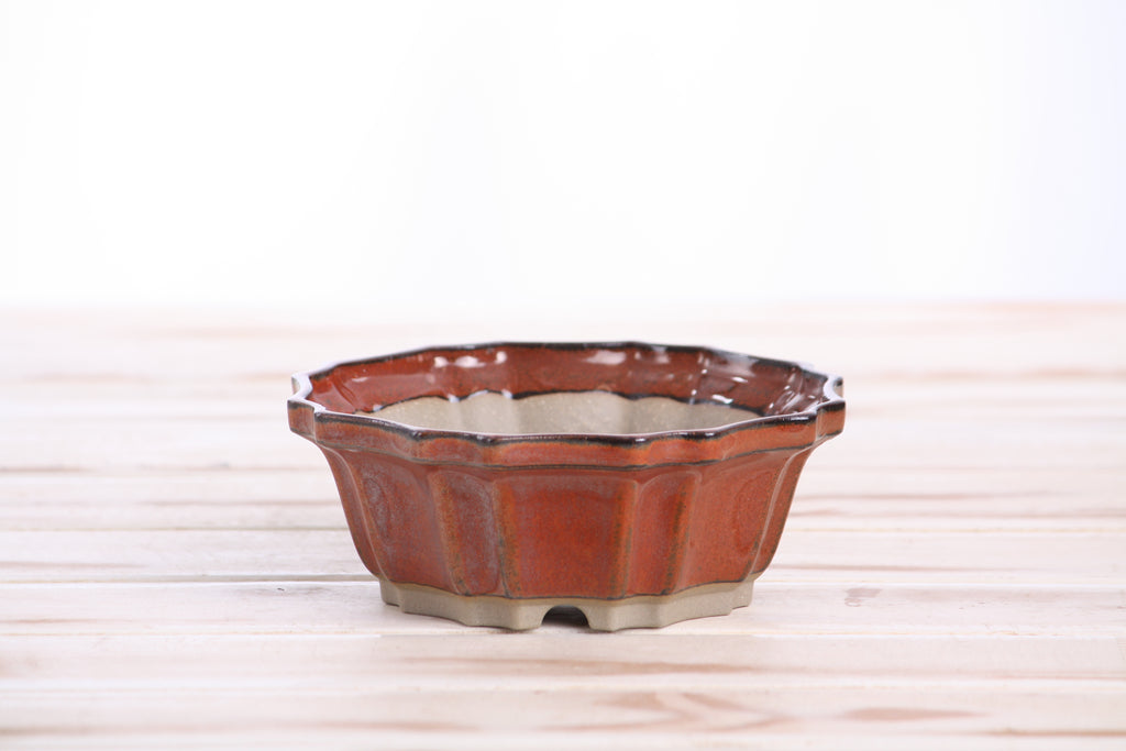 Willow Bonsai Ceramics Flower Design Bonsai Pot 5 Inch – Elegant Ceramic Bonsai & Succulent Planter, High‑Fired Frost‑Proof Stoneware with Drainage & Wiring Holes, Handmade in USA (Sunset)