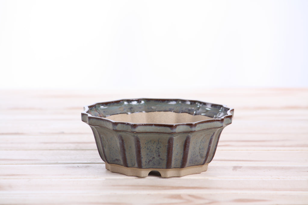 Willow Bonsai Ceramics Flower Design Bonsai Pot 5 Inch – Elegant Ceramic Bonsai & Succulent Planter, High‑Fired Frost‑Proof Stoneware with Drainage & Wiring Holes, Handmade in USA (Starry Night)