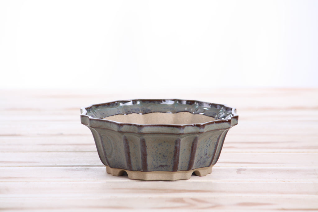 Willow Bonsai Ceramics Flower Design Bonsai Pot 5 Inch – Elegant Ceramic Bonsai & Succulent Planter, High‑Fired Frost‑Proof Stoneware with Drainage & Wiring Holes, Handmade in USA (Starry Night)