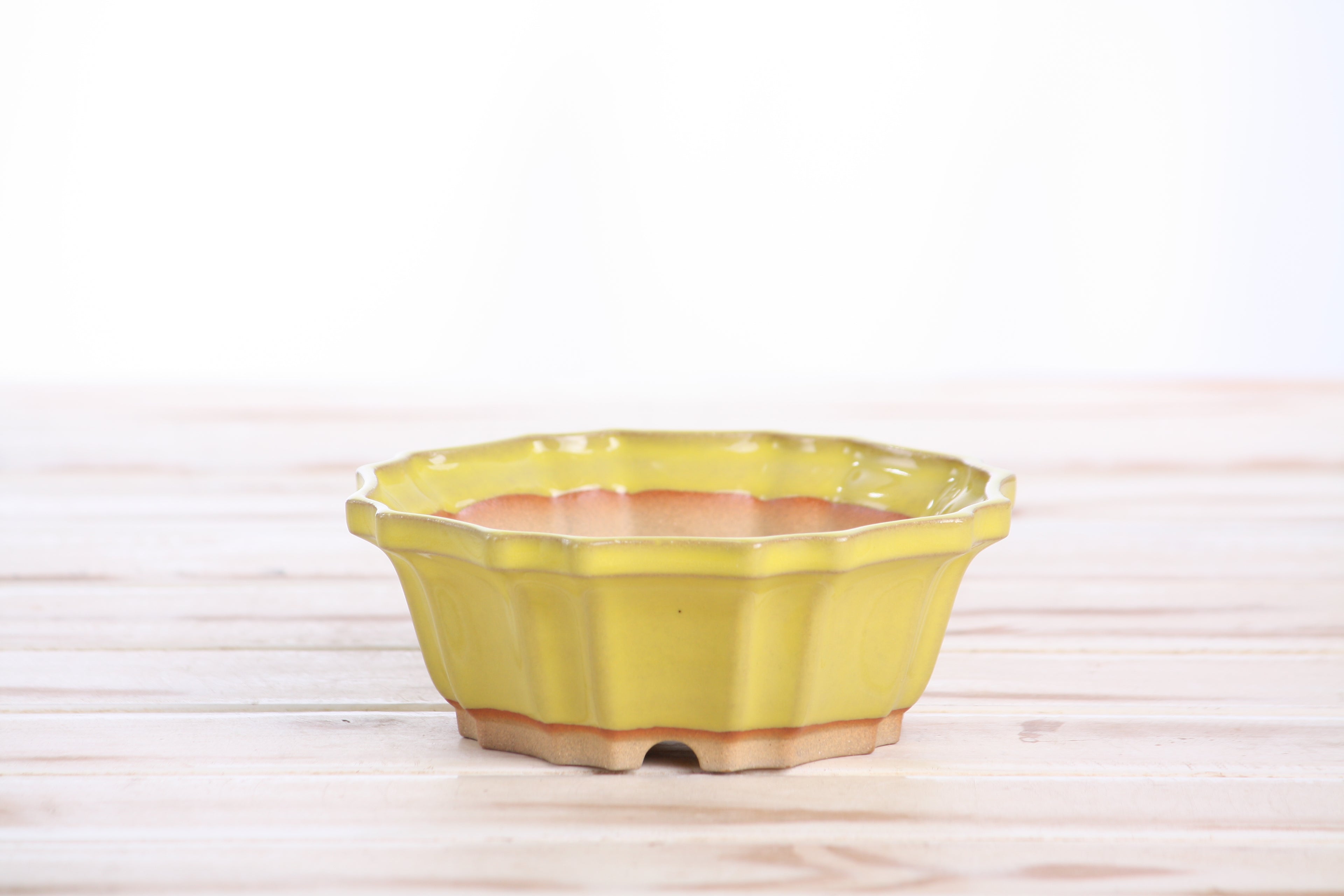 Willow Bonsai Ceramics Flower Design Bonsai Pot 5 Inch – Elegant Ceramic Bonsai & Succulent Planter, High‑Fired Frost‑Proof Stoneware with Drainage & Wiring Holes, Handmade in USA (Yellow)