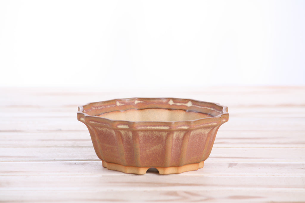 Willow Bonsai Ceramics Flower Design Bonsai Pot 5 Inch – Elegant Ceramic Bonsai & Succulent Planter, High‑Fired Frost‑Proof Stoneware with Drainage & Wiring Holes, Handmade in USA (Deep Stone)