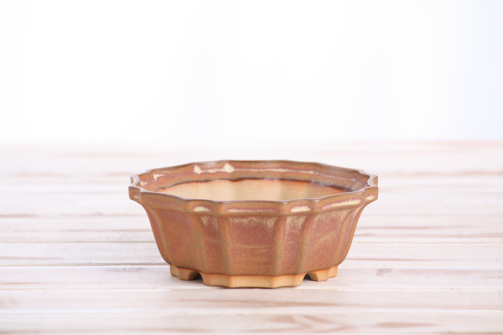 Willow Bonsai Ceramics Flower Design Bonsai Pot 5 Inch – Elegant Ceramic Bonsai & Succulent Planter, High‑Fired Frost‑Proof Stoneware with Drainage & Wiring Holes, Handmade in USA (Deep Stone)
