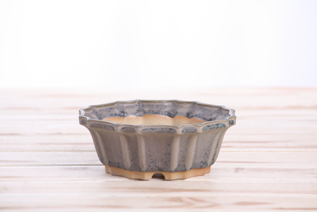 Willow Bonsai Ceramics Flower Design Bonsai Pot 5 Inch – Elegant Ceramic Bonsai & Succulent Planter, High‑Fired Frost‑Proof Stoneware with Drainage & Wiring Holes, Handmade in USA (Ocean)