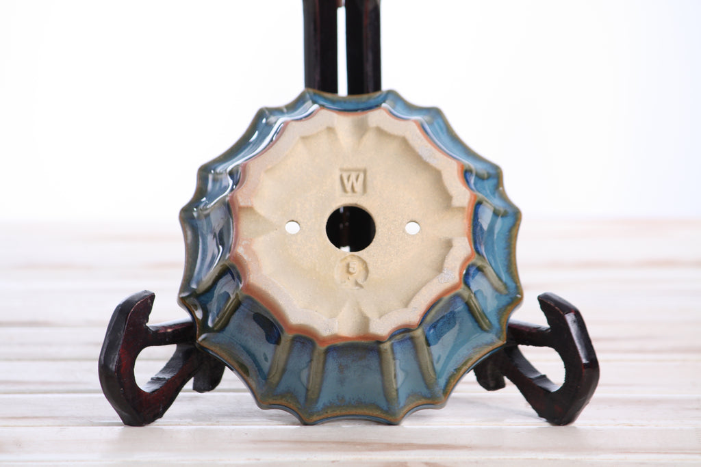 Willow Bonsai Ceramics Flower Design Bonsai Pot 5 Inch – Elegant Ceramic Bonsai & Succulent Planter, High‑Fired Frost‑Proof Stoneware with Drainage & Wiring Holes, Handmade in USA (Peacock 2025)
