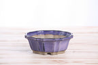 Willow Bonsai Ceramics Flower Design Bonsai Pot 5 Inch – Elegant Ceramic Bonsai & Succulent Planter, High‑Fired Frost‑Proof Stoneware with Drainage & Wiring Holes, Handmade in USA (Purple)