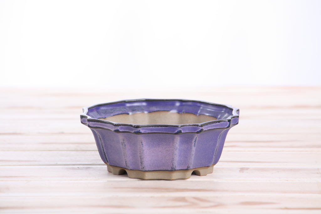 Willow Bonsai Ceramics Flower Design Bonsai Pot 5 Inch – Elegant Ceramic Bonsai & Succulent Planter, High‑Fired Frost‑Proof Stoneware with Drainage & Wiring Holes, Handmade in USA (Purple)