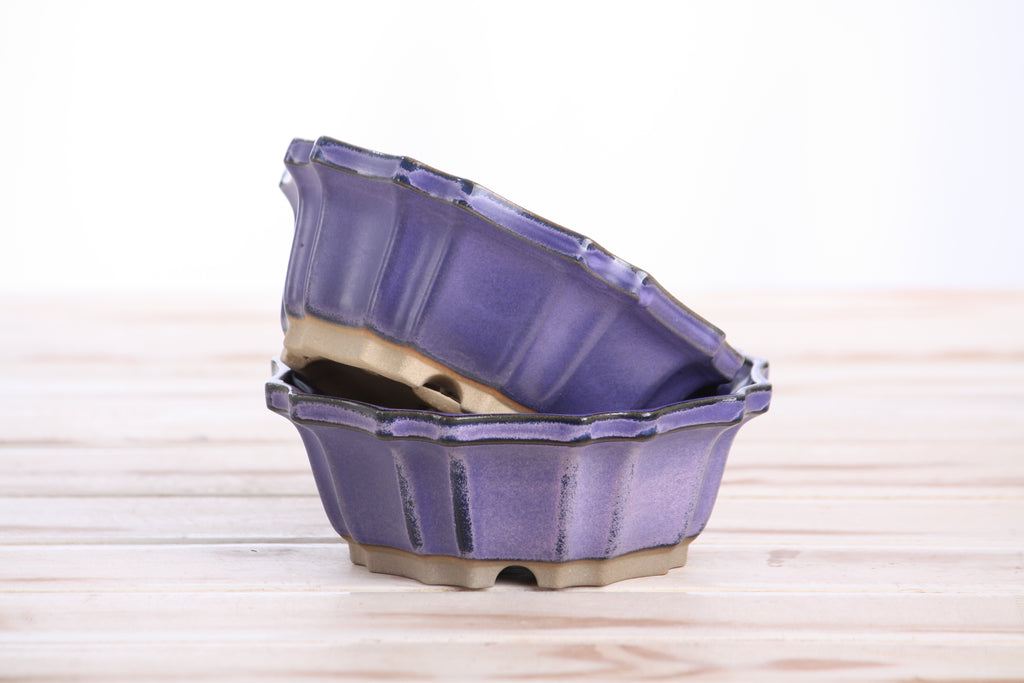 Willow Bonsai Ceramics Flower Design Bonsai Pot 5 Inch – Elegant Ceramic Bonsai & Succulent Planter, High‑Fired Frost‑Proof Stoneware with Drainage & Wiring Holes, Handmade in USA (Purple)