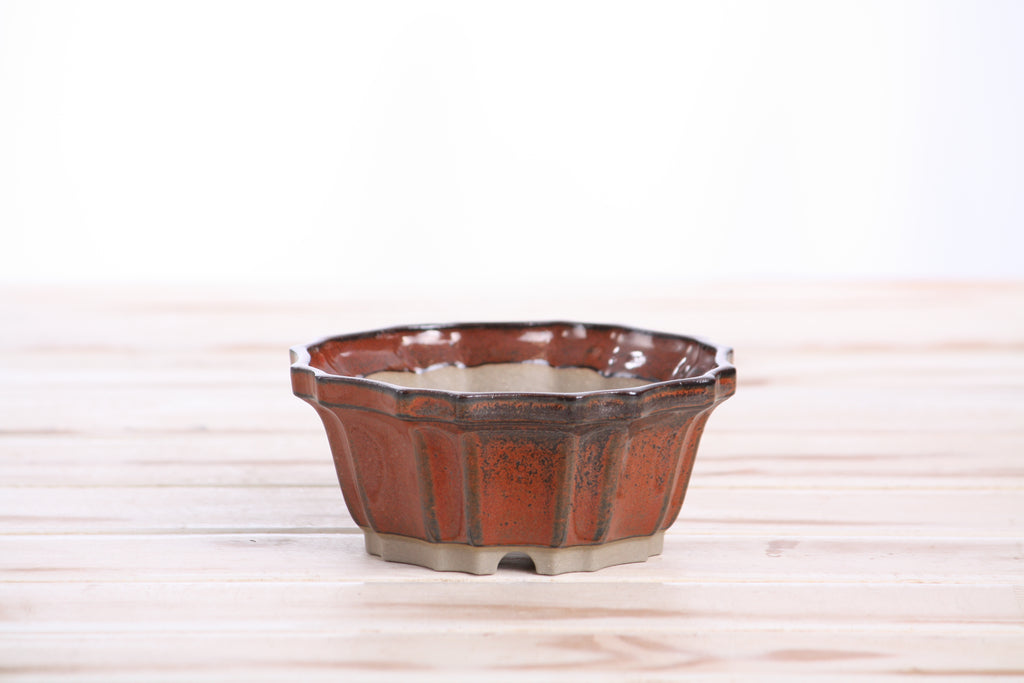 Willow Bonsai Ceramics Flower Design Bonsai Pot 4.5 Inch – Elegant Ceramic Bonsai & Succulent Planter, High‑Fired Frost‑Proof Stoneware with Drainage & Wiring Holes, Handmade in USA (Sunset)