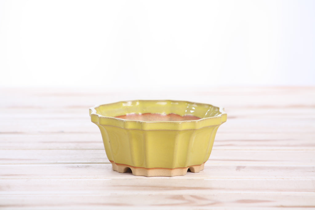 Willow Bonsai Ceramics Flower Design Bonsai Pot 4.5 Inch – Elegant Ceramic Bonsai & Succulent Planter, High‑Fired Frost‑Proof Stoneware with Drainage & Wiring Holes, Handmade in USA (Yellow)