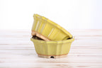 Willow Bonsai Ceramics Flower Design Bonsai Pot 4.5 Inch – Elegant Ceramic Bonsai & Succulent Planter, High‑Fired Frost‑Proof Stoneware with Drainage & Wiring Holes, Handmade in USA (Yellow)