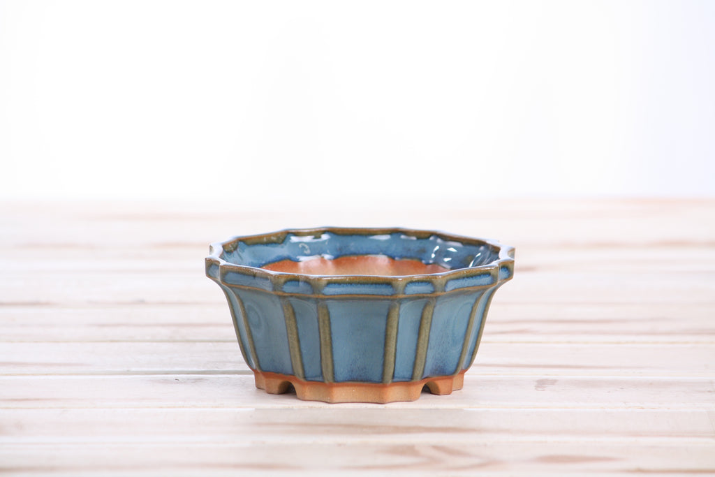 Willow Bonsai Ceramics Flower Design Bonsai Pot 4.5 Inch – Elegant Ceramic Bonsai & Succulent Planter, High‑Fired Frost‑Proof Stoneware with Drainage & Wiring Holes, Handmade in USA (Peacock 2025)