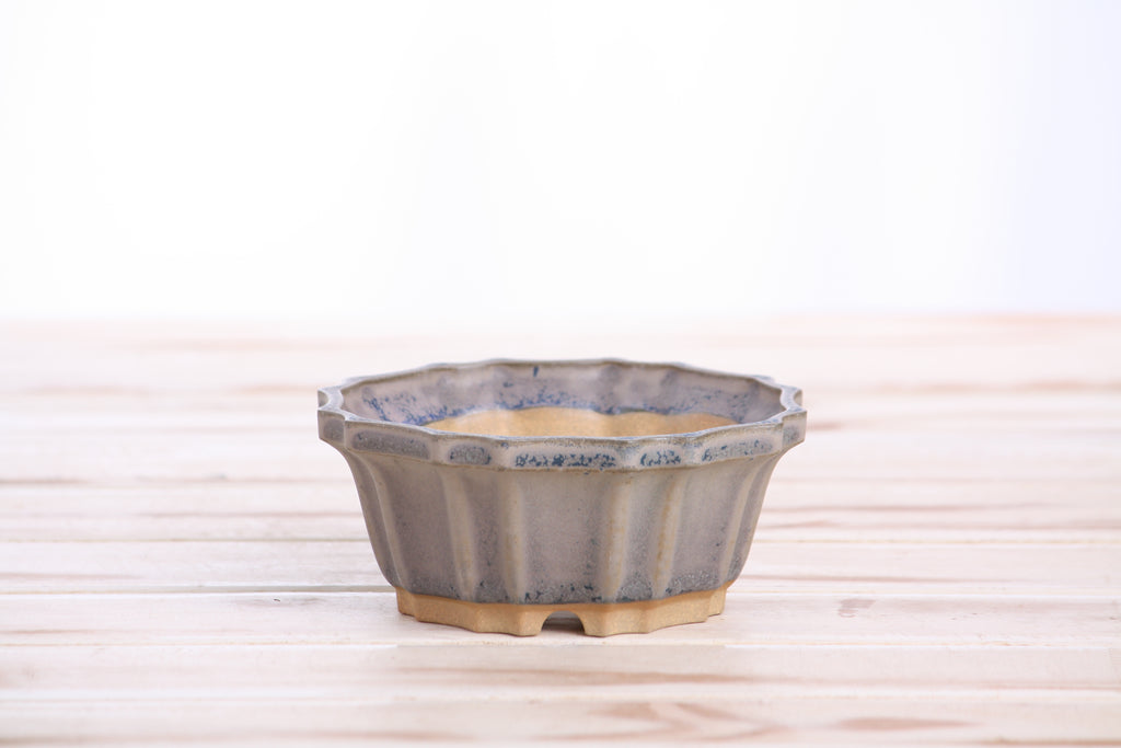 Willow Bonsai Ceramics Flower Design Bonsai Pot 4.5 Inch – Elegant Ceramic Bonsai & Succulent Planter, High‑Fired Frost‑Proof Stoneware with Drainage & Wiring Holes, Handmade in USA (Ocean)