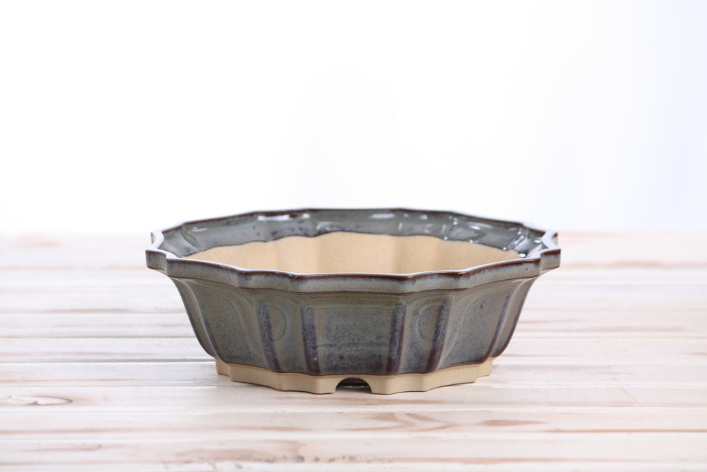 Willow Bonsai Ceramics Flower Design Bonsai Pot 8 Inch – Elegant Ceramic Bonsai & Succulent Planter, High‑Fired Frost‑Proof Stoneware with Drainage & Wiring Holes, Handmade in USA (Starry Night)