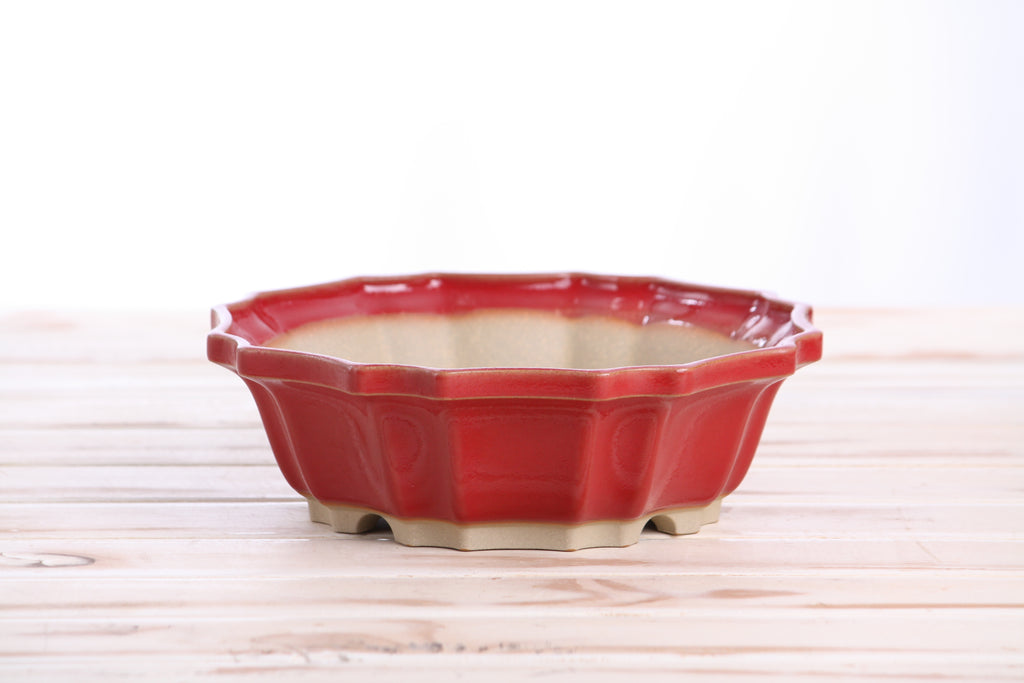 Willow Bonsai Ceramics Flower Design Bonsai Pot 8 Inch – Elegant Ceramic Bonsai & Succulent Planter, High‑Fired Frost‑Proof Stoneware with Drainage & Wiring Holes, Handmade in USA (Red)