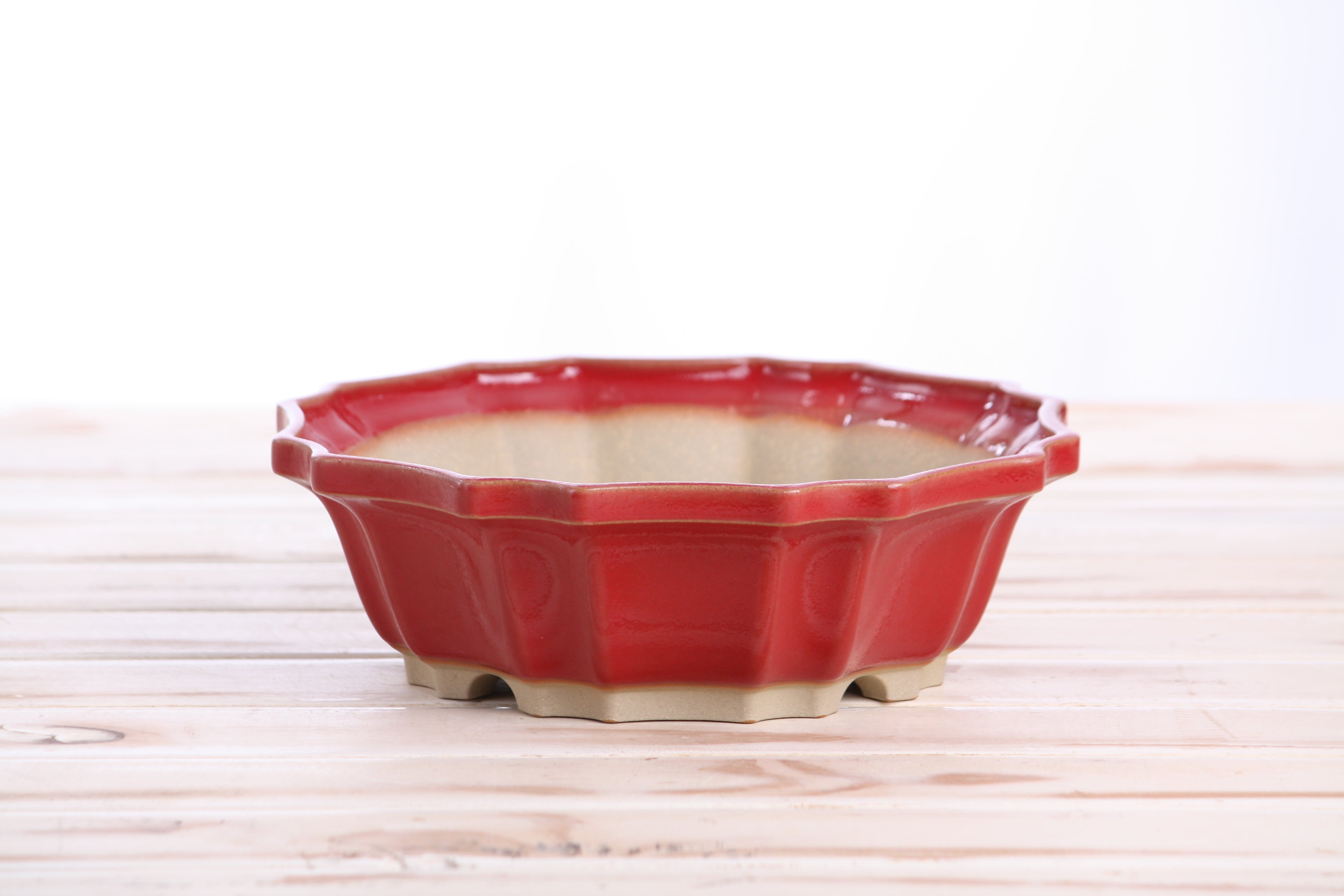 Willow Bonsai Ceramics Flower Design Bonsai Pot 8 Inch – Elegant Ceramic Bonsai & Succulent Planter, High‑Fired Frost‑Proof Stoneware with Drainage & Wiring Holes, Handmade in USA (Red)
