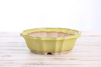 Willow Bonsai Ceramics Flower Design Bonsai Pot 8 Inch – Elegant Ceramic Bonsai & Succulent Planter, High‑Fired Frost‑Proof Stoneware with Drainage & Wiring Holes, Handmade in USA (Yellow)
