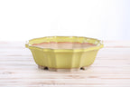 Willow Bonsai Ceramics Flower Design Bonsai Pot 8 Inch – Elegant Ceramic Bonsai & Succulent Planter, High‑Fired Frost‑Proof Stoneware with Drainage & Wiring Holes, Handmade in USA (Yellow)