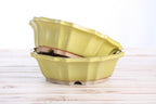 Willow Bonsai Ceramics Flower Design Bonsai Pot 8 Inch – Elegant Ceramic Bonsai & Succulent Planter, High‑Fired Frost‑Proof Stoneware with Drainage & Wiring Holes, Handmade in USA (Yellow)