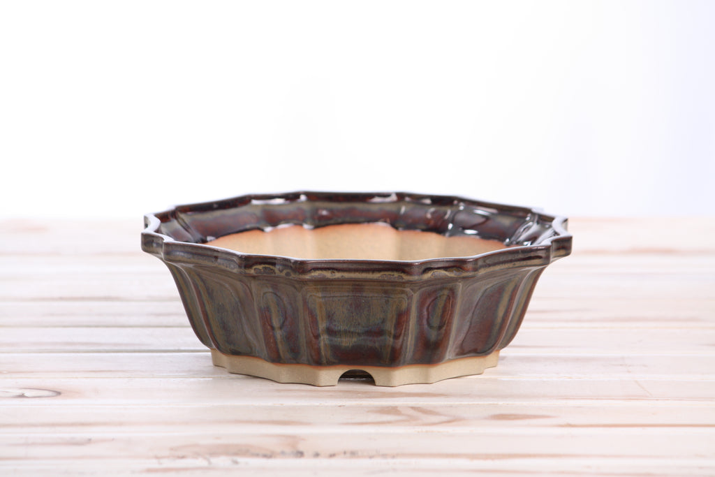 Willow Bonsai Ceramics Flower Design Bonsai Pot 8 Inch – Elegant Ceramic Bonsai & Succulent Planter, High‑Fired Frost‑Proof Stoneware with Drainage & Wiring Holes, Handmade in USA (Dark Honey)