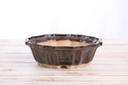 Willow Bonsai Ceramics Flower Design Bonsai Pot 8 Inch – Elegant Ceramic Bonsai & Succulent Planter, High‑Fired Frost‑Proof Stoneware with Drainage & Wiring Holes, Handmade in USA (Dark Honey)