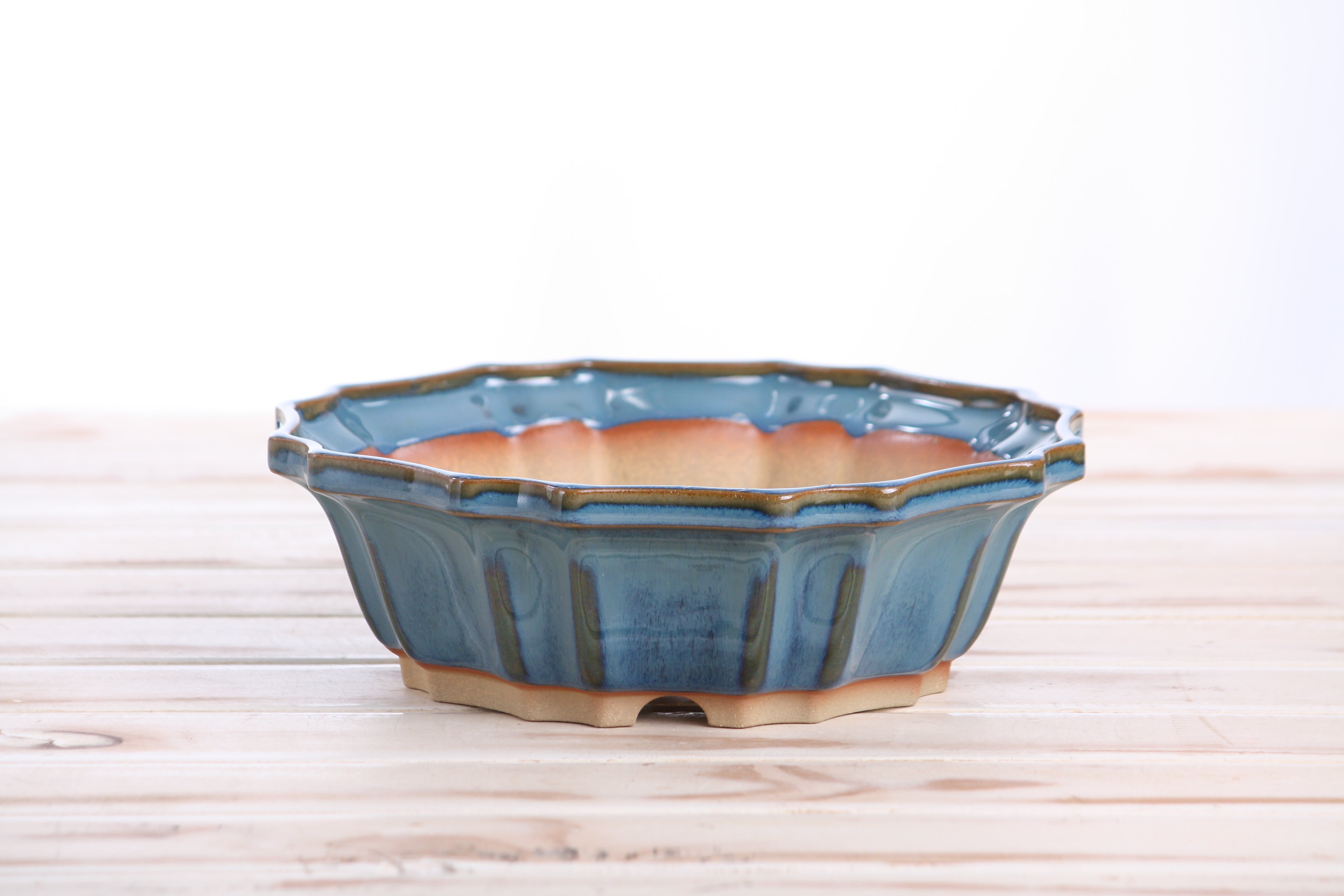Willow Bonsai Ceramics Flower Design Bonsai Pot 8 Inch – Elegant Ceramic Bonsai & Succulent Planter, High‑Fired Frost‑Proof Stoneware with Drainage & Wiring Holes, Handmade in USA (Peacock 2025)