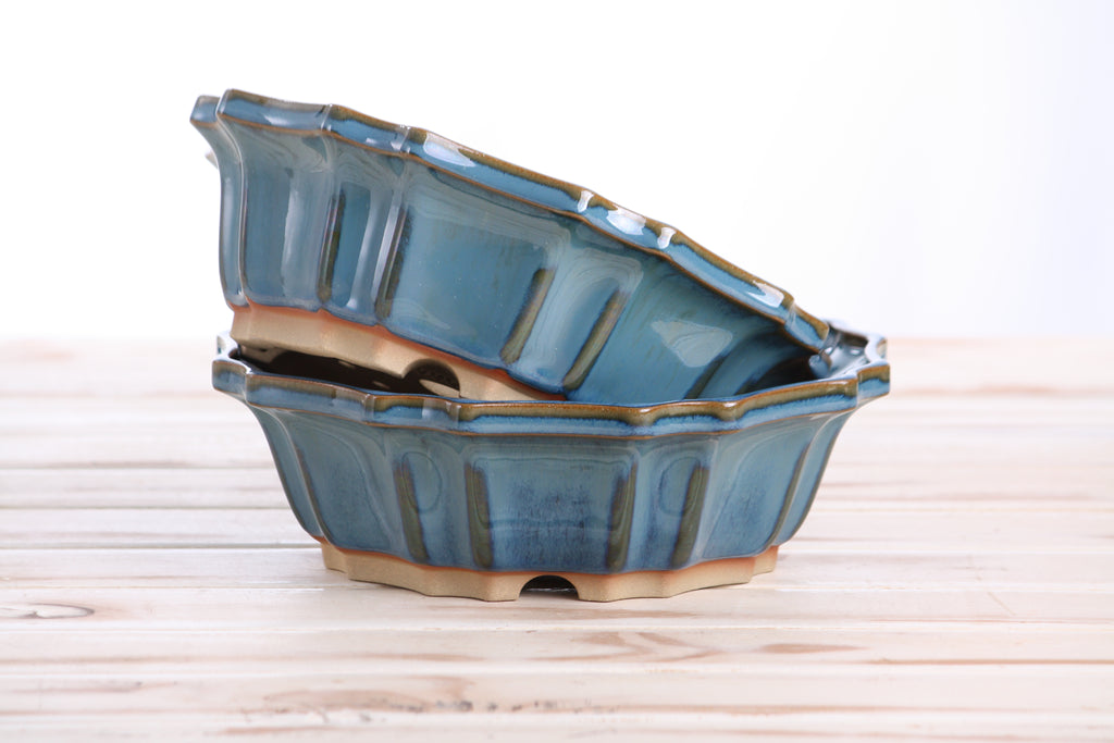 Willow Bonsai Ceramics Flower Design Bonsai Pot 8 Inch – Elegant Ceramic Bonsai & Succulent Planter, High‑Fired Frost‑Proof Stoneware with Drainage & Wiring Holes, Handmade in USA (Peacock 2025)
