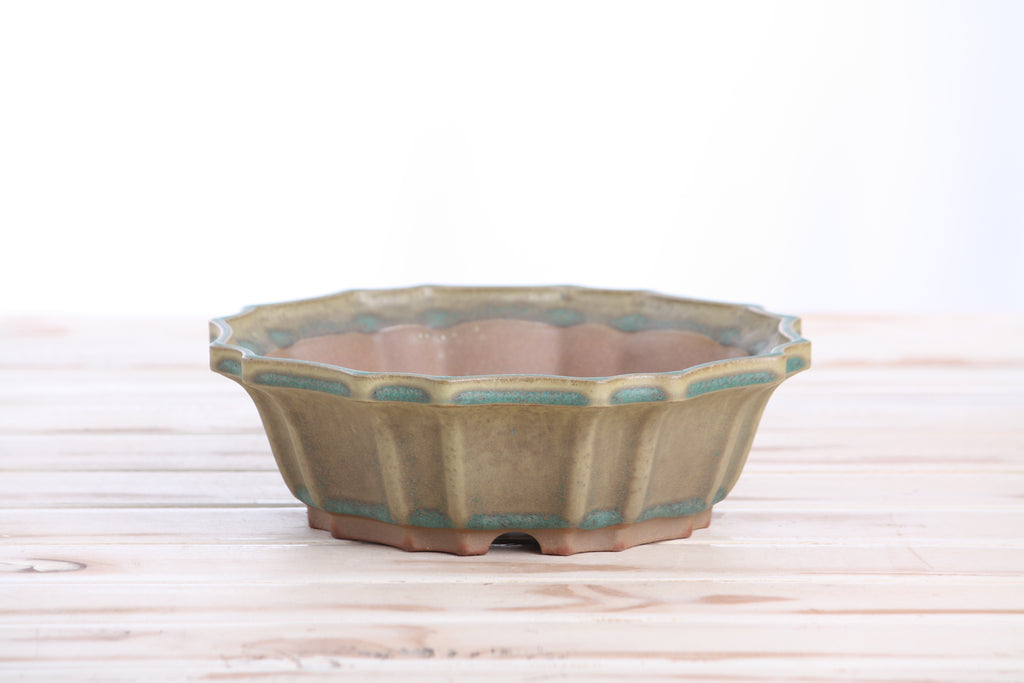 Willow Bonsai Ceramics Flower Design Bonsai Pot 8 Inch – Elegant Ceramic Bonsai & Succulent Planter, High‑Fired Frost‑Proof Stoneware with Drainage & Wiring Holes, Handmade in USA (Speckled Moss)
