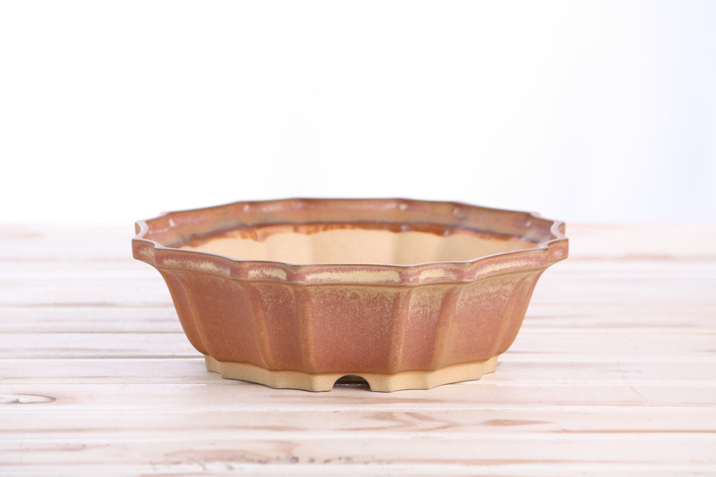 Willow Bonsai Ceramics Flower Design Bonsai Pot 8 Inch – Elegant Ceramic Bonsai & Succulent Planter, High‑Fired Frost‑Proof Stoneware with Drainage & Wiring Holes, Handmade in USA (Deep Stone)