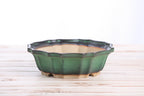 Willow Bonsai Ceramics Flower Design Bonsai Pot 8 Inch – Elegant Ceramic Bonsai & Succulent Planter, High‑Fired Frost‑Proof Stoneware with Drainage & Wiring Holes, Handmade in USA (Avocado)