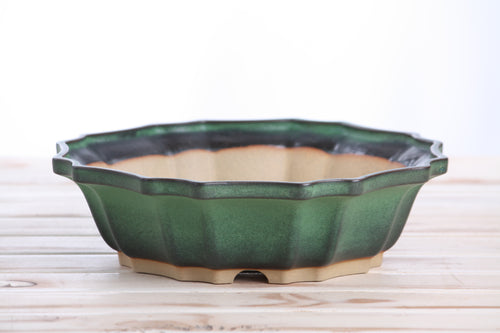 Willow Bonsai Ceramics Flower Design Bonsai Pot 10 Inch – Elegant Ceramic Bonsai & Succulent Planter, High‑Fired Frost‑Proof Stoneware with Drainage & Wiring Holes, Handmade in USA (Avocado)