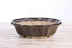 Willow Bonsai Ceramics Flower Design Bonsai Pot 10 Inch – Elegant Ceramic Bonsai & Succulent Planter, High‑Fired Frost‑Proof Stoneware with Drainage & Wiring Holes, Handmade in USA (Dark Honey)